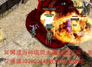 如何成为神级倚天屠龙记玩家?紫衫龙王金花婆婆302600249战力速成攻略 如何成为神级倚天屠龙记玩家?紫衫龙王金花婆婆302600249战力速成攻略