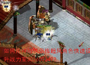 如何用神雕侠侣梅超风角色快速提升战力至302600249? 如何用神雕侠侣梅超风角色快速提升战力至302600249?