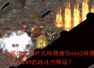 ��ο����������������6662���302600249��ս�����ȼ���