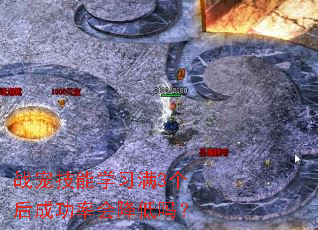战宠技能学习满3个后成功率会降低吗? 战宠技能学习满3个后成功率会降低吗?