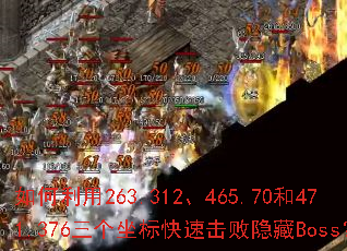 �������263.312��465.70��471.376����������ٻ�������Boss��