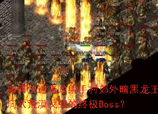 ��ο��ٻ������ִ彼�ⰵ��������Ѩ��Į��ڵ��ռ�Boss��