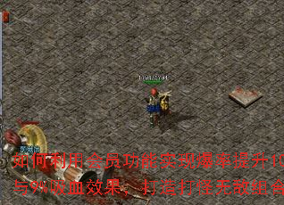 如何利用会员功能实现爆率提升100%与9%吸血效果,打造打怪无敌组合? 如何利用会员功能实现爆率提升100%与9%吸血效果,打造打怪无敌组合?