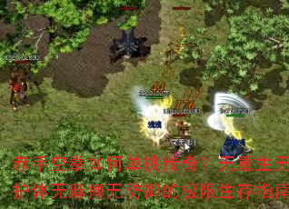 赤手空拳如何单挑传奇?无重生无护体无麻痹无防御的极限生存指南 赤手空拳如何单挑传奇?无重生无护体无麻痹无防御的极限生存指南