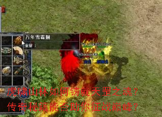 虎啸山林如何铸就天罡之魂?传奇秘籍能否助你征战巅峰? 虎啸山林如何铸就天罡之魂?传奇秘籍能否助你征战巅峰?