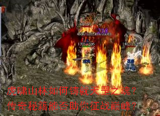 ��Хɽ������������֮�ꣿ�����ؼ��ܷ�������ս�۷壿