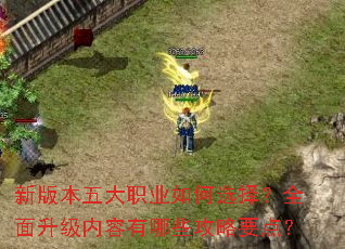 新版本五大职业如何选择?全面升级内容有哪些攻略要点? 新版本五大职业如何选择?全面升级内容有哪些攻略要点?