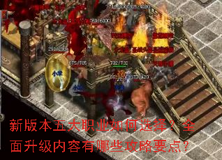 新版本五大职业如何选择?全面升级内容有哪些攻略要点? 新版本五大职业如何选择?全面升级内容有哪些攻略要点?