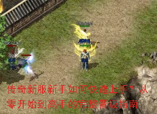 传奇新服新手如何快速上手?从零开始到高手的完整晋级指南 传奇新服新手如何快速上手?从零开始到高手的完整晋级指南