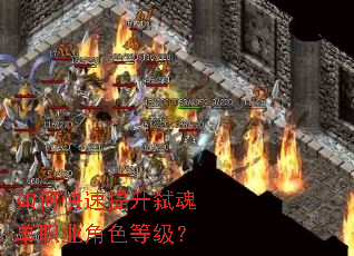 如何快速提升弑魂单职业角色等级? 如何快速提升弑魂单职业角色等级?