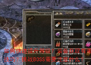 如何快速提升等级?装备获取有哪些技巧?挑战BOSS需要注意什么? 如何快速提升等级?装备获取有哪些技巧?挑战BOSS需要注意什么?