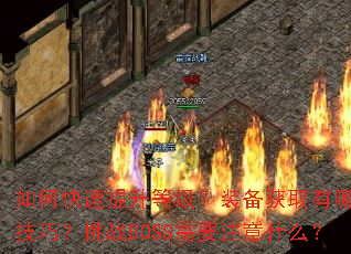 如何快速提升等级?装备获取有哪些技巧?挑战BOSS需要注意什么? 如何快速提升等级?装备获取有哪些技巧?挑战BOSS需要注意什么?