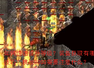 如何快速提升等级?装备获取有哪些技巧?挑战BOSS需要注意什么? 如何快速提升等级?装备获取有哪些技巧?挑战BOSS需要注意什么?