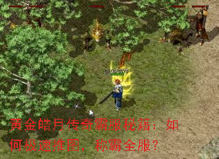 黄金皓月传奇霸服秘籍:如何极速推图,称霸全服? 黄金皓月传奇霸服秘籍:如何极速推图,称霸全服?