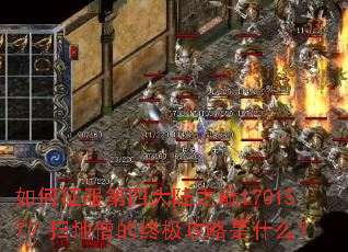 如何征服第四大陆之巅170157?扫地僧的终极攻略是什么? 如何征服第四大陆之巅170157?扫地僧的终极攻略是什么?