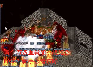 �и����Ѫ������ս��ɫBOSS�����ֱؿ�����