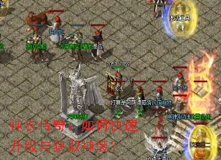 神农传奇:如何快速升级与获取神装? 神农传奇:如何快速升级与获取神装?