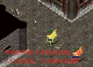 传奇世界新手攻略问答集:从入门到精通,你有哪些问题? 传奇世界新手攻略问答集:从入门到精通,你有哪些问题?