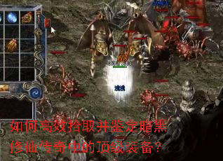 如何高效拾取并鉴定暗黑修仙传奇中的顶级装备? 如何高效拾取并鉴定暗黑修仙传奇中的顶级装备?