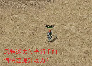 凤舞迷失传奇新手如何快速提升战力? 凤舞迷失传奇新手如何快速提升战力?