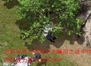 如何用黄药师角色在襄阳之战中快速提升战力至302600249? 如何用黄药师角色在襄阳之战中快速提升战力至302600249?