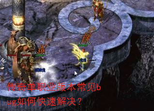 ���浥ְҵ�汾����bug��ο��ٽ����