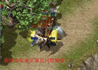 �·�ʰȡ��������������