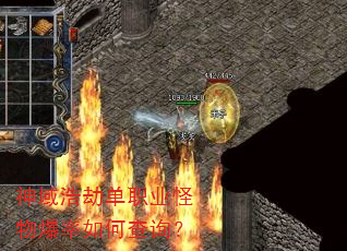 神域浩劫单职业怪物爆率如何查询? 神域浩劫单职业怪物爆率如何查询?
