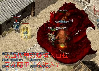 ��Ѫ�������������λ����������ô���룿