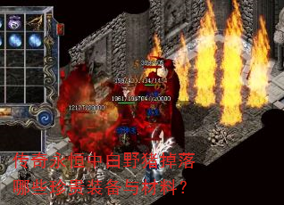 传奇永恒中白野猪掉落哪些珍贵装备与材料? 传奇永恒中白野猪掉落哪些珍贵装备与材料?