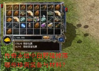 传奇永恒中白野猪掉落哪些珍贵装备与材料? 传奇永恒中白野猪掉落哪些珍贵装备与材料?