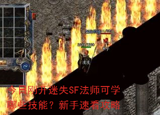 ���ոտ���ʧSF��ʦ��ѧ��Щ���ܣ������ٿ�����