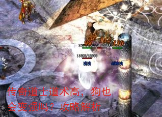 传奇道士道术高,狗也会变强吗?攻略解析 传奇道士道术高,狗也会变强吗?攻略解析