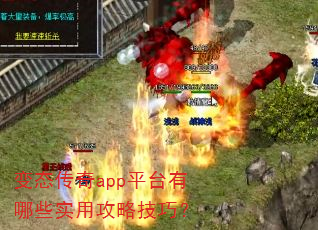变态传奇app平台有哪些实用攻略技巧? 变态传奇app平台有哪些实用攻略技巧?
