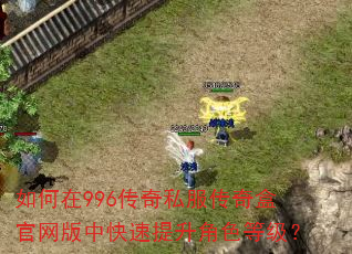如何在996传奇私服传奇盒官网版中快速提升角色等级? 如何在996传奇私服传奇盒官网版中快速提升角色等级?