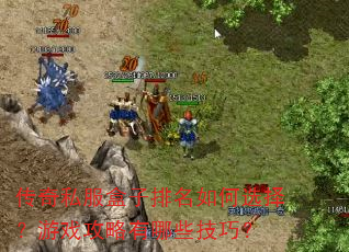 传奇私服盒子排名如何选择?游戏攻略有哪些技巧? 传奇私服盒子排名如何选择?游戏攻略有哪些技巧?
