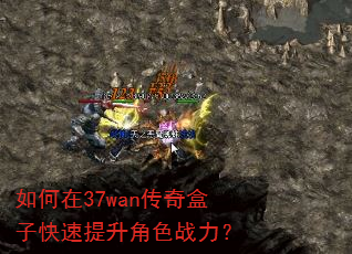 �����37wan������ӿ���������ɫս����