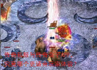 ����˽���봫�����APP�������ĸ����ʺ�������飿