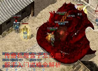 传奇私服盒子怎么用?新手入门攻略全解析 传奇私服盒子怎么用?新手入门攻略全解析