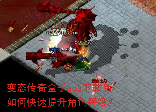 变态传奇盒子app下载后如何快速提升角色等级? 变态传奇盒子app下载后如何快速提升角色等级?