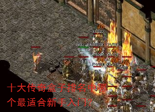 ʮ��������������ĸ����ʺ��������ţ�