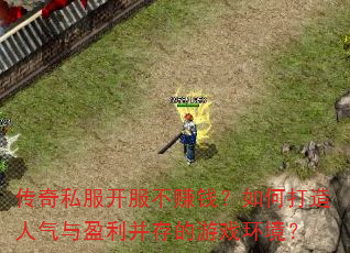 传奇私服开服不赚钱?如何打造人气与盈利并存的游戏环境? 传奇私服开服不赚钱?如何打造人气与盈利并存的游戏环境?