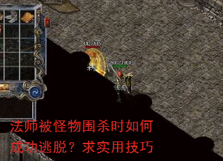 ��ʦ������Χɱʱ��γɹ����ѣ���ʵ�ü���