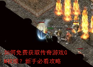 �����ѻ�ȡ������ϷGMȨ�ޣ����ֱؿ�����