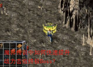 ħ�紫˵����ο�������ս�������ռ�Boss��