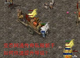 变态网通传奇私服新手如何快速提升等级? 变态网通传奇私服新手如何快速提升等级?