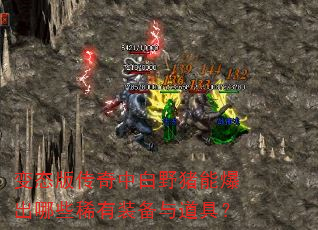 ��̬�洫���а�Ұ���ܱ�����Щϡ��װ������ߣ�