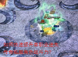 ��ο���������ְҵ��ʧ����˽����ɫս������