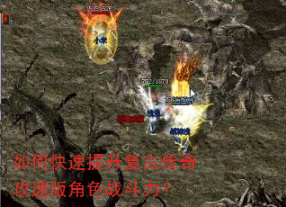 ��ο����������Ŵ��湥�ٰ��ɫս������