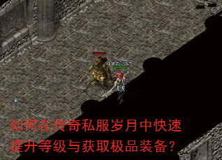 如何在传奇私服岁月中快速提升等级与获取极品装备? 如何在传奇私服岁月中快速提升等级与获取极品装备?